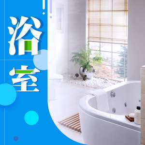 Bathroom Accessories